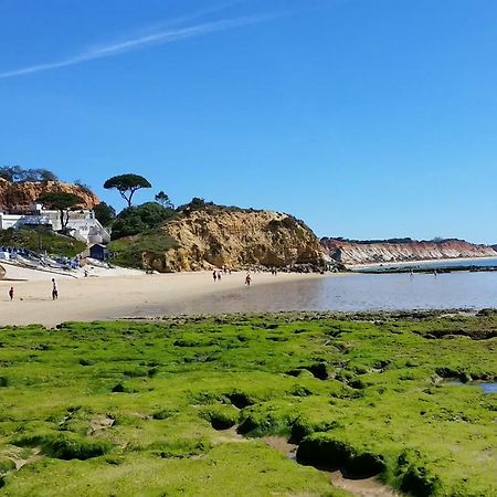 אלבופיירה Vista Das Ondas Olhos De Agua מראה חיצוני תמונה